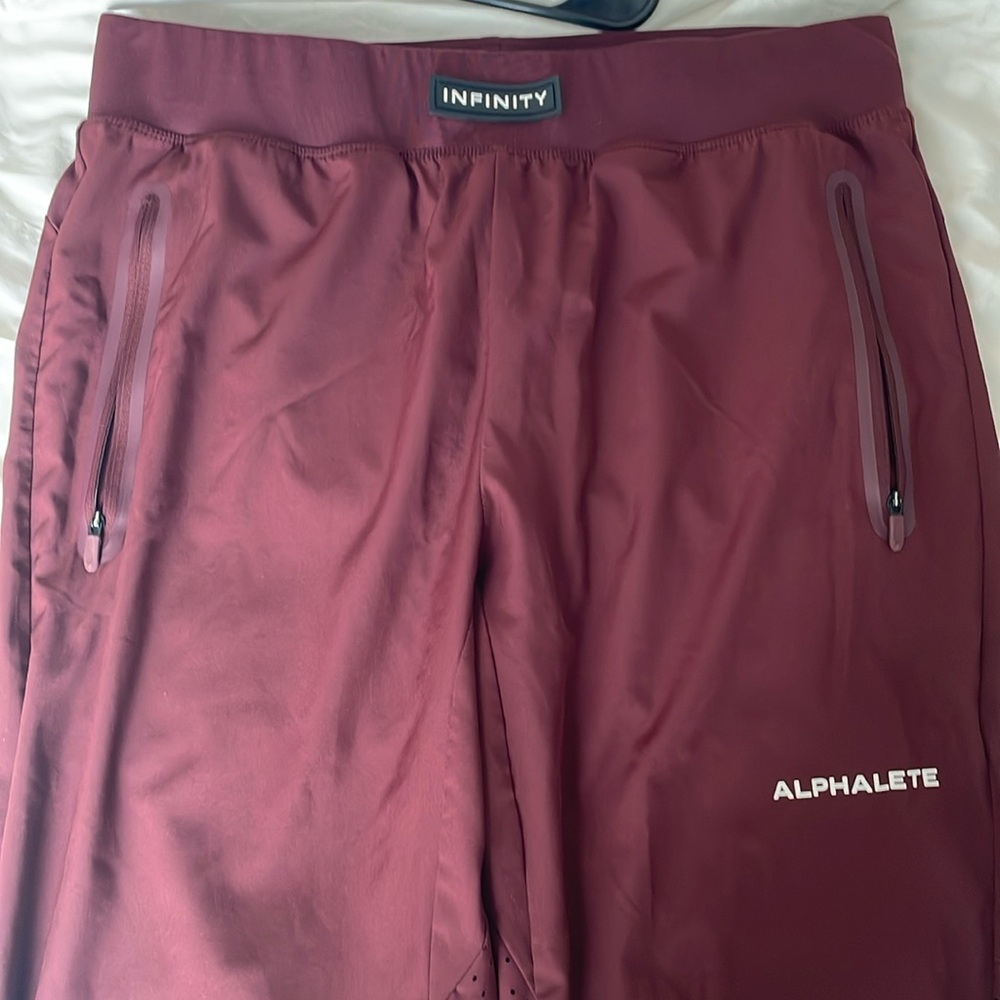 Alphalete Infinity Gym Pants